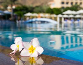 Ofertas baratas en Elba Costa Ballena Beach Golf & Thalasso Hotel. Ritual Secret Gold 1 noche en Cadiz